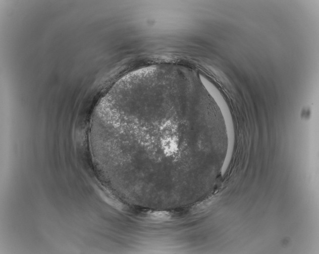 X0000091100409200709041327