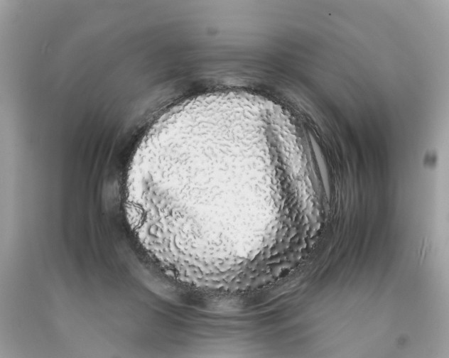 X0000091100410200709041327