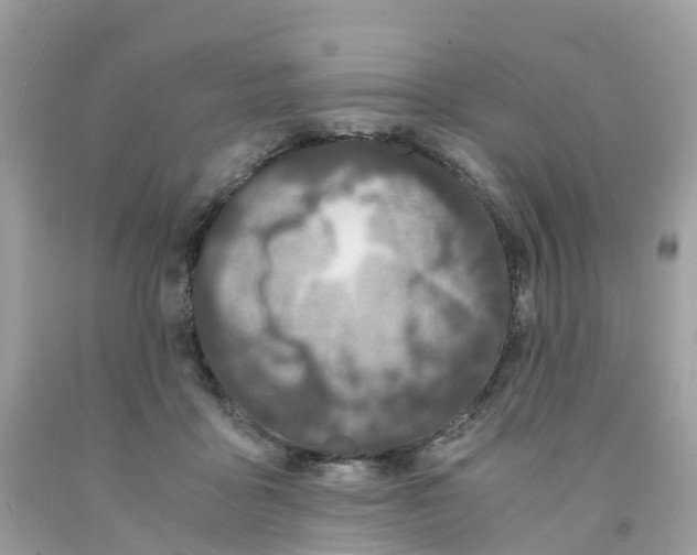 X0000091100411200709041327