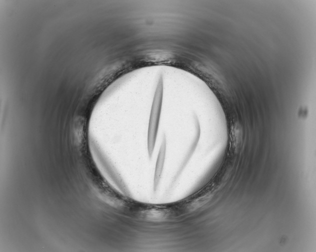 X0000091100412200709041327