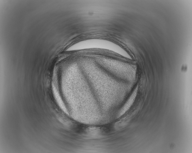 X0000091100413200709041327