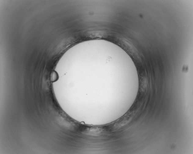 X0000091100414200709041327