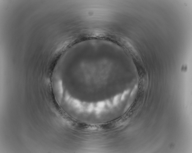 X0000091100415200709041327