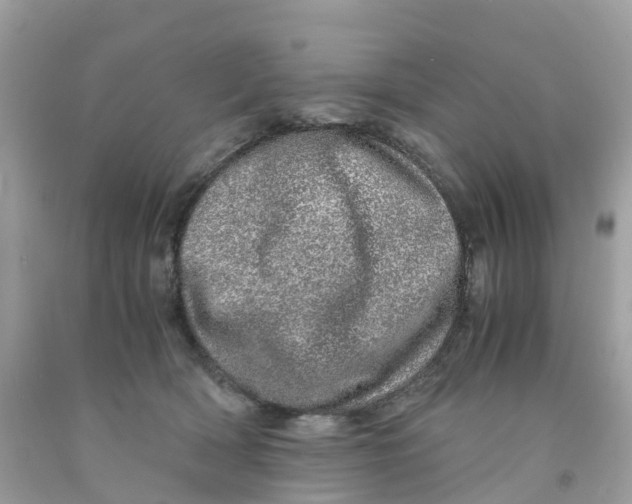 X0000091100418200709041327