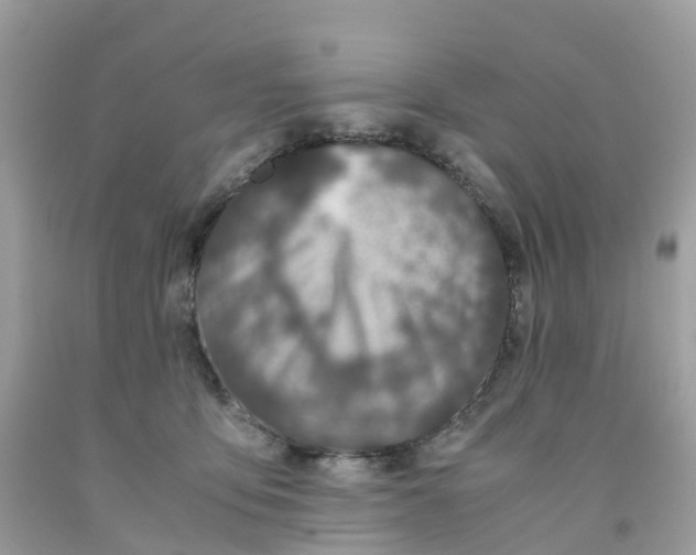 X0000091100419200709041327