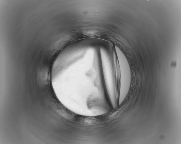 X0000091100420200709041327