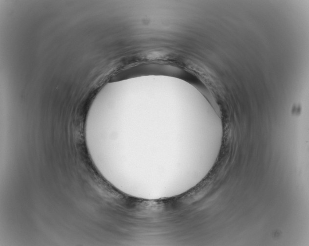 X0000091100421200709041327