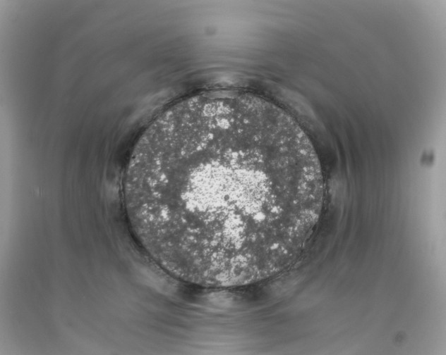 X0000091100423200709041327