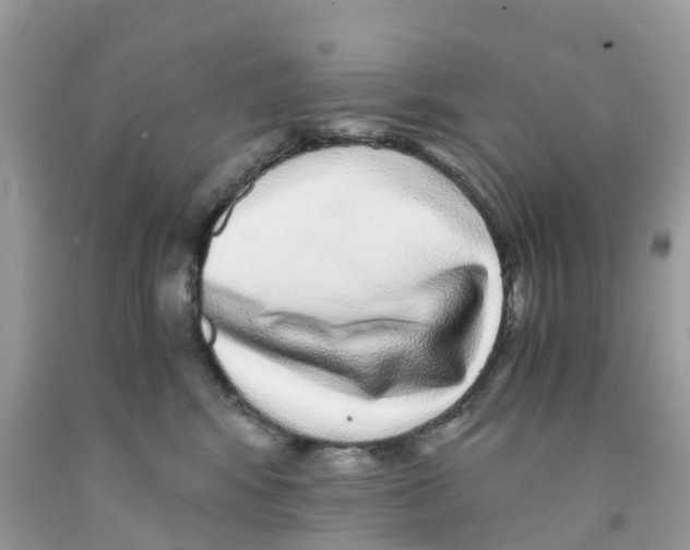 X0000091100424200709041327