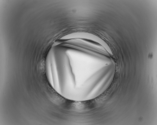 X0000091100425200709041327