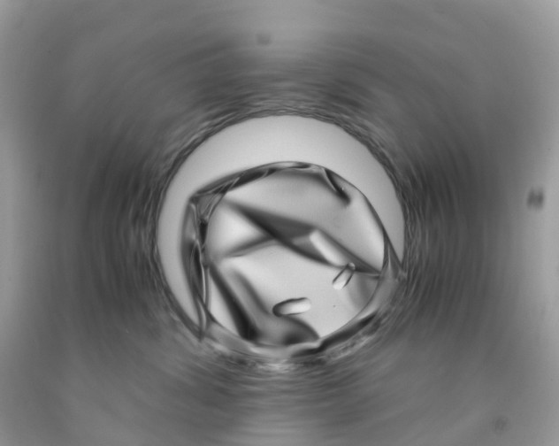 X0000091100428200709041327