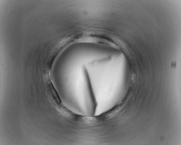 X0000091100429200709041327