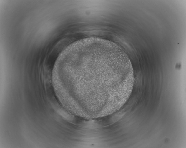 X0000091100430200709041327