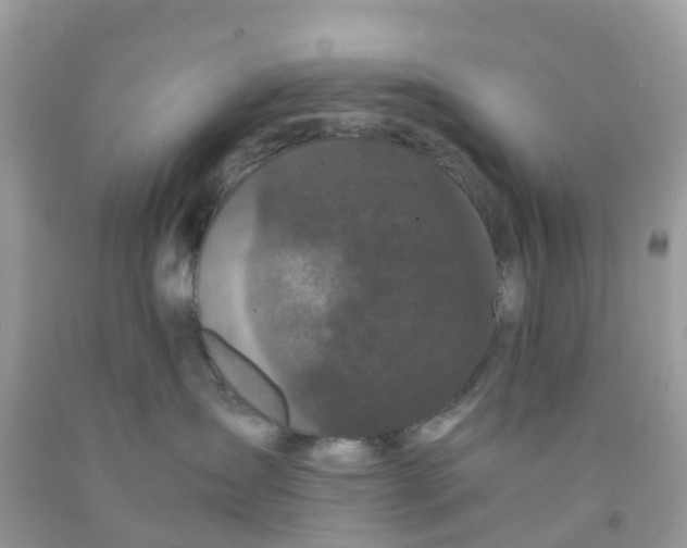 X0000091100431200709041327