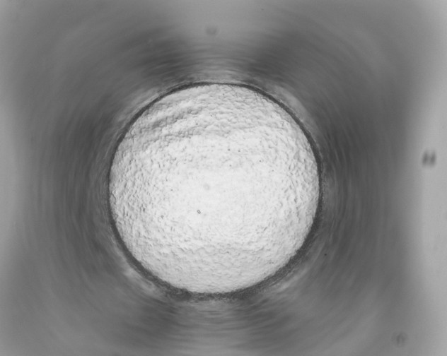 X0000091100433200709041326