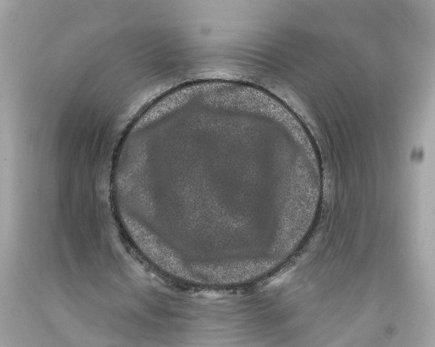 X0000091100434200709041326