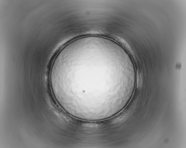 X0000091100435200709041326