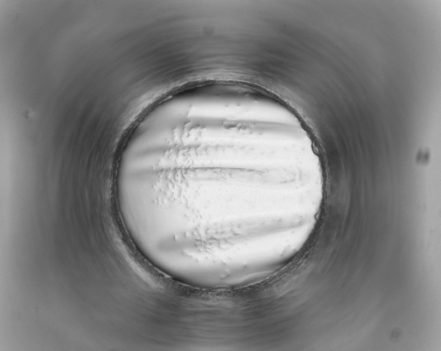 X0000091100437200709041326