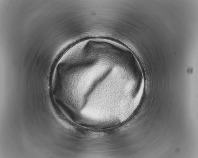 X0000091100438200709041326