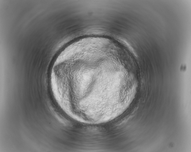 X0000091100439200709041326