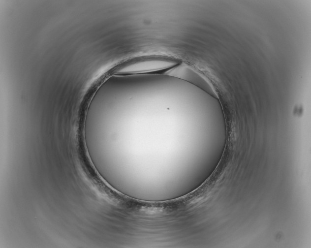 X0000091100440200709041326