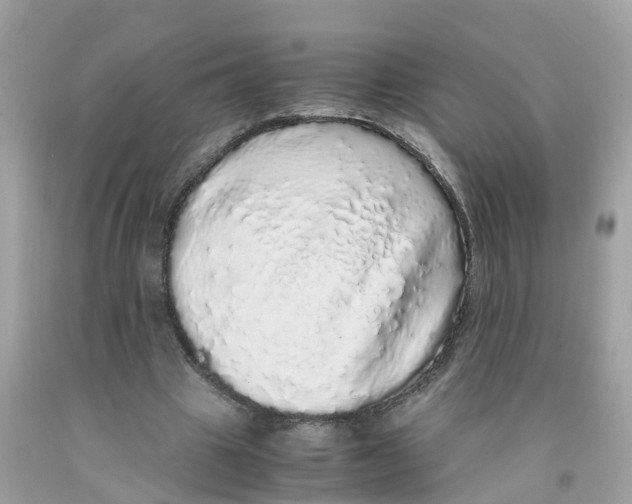 X0000091100441200709041326