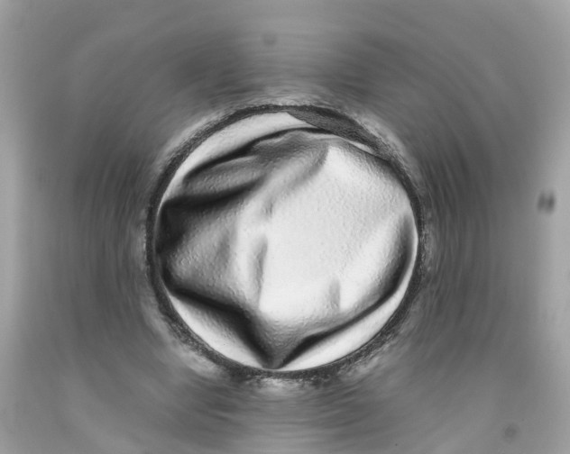 X0000091100442200709041326