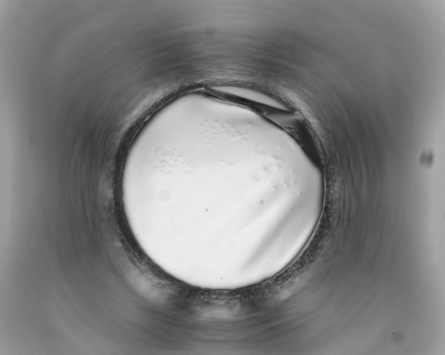 X0000091100443200709041327