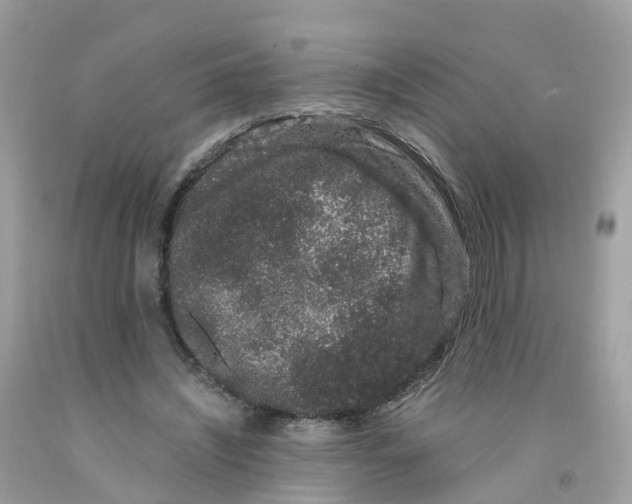 X0000091100444200709041327