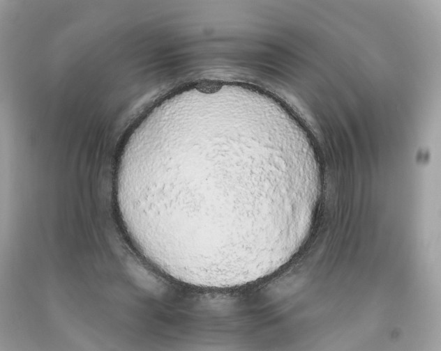 X0000091100445200709041327