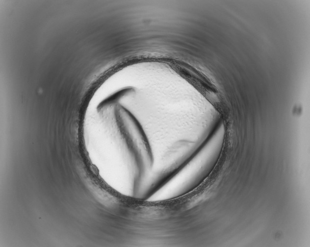 X0000091100446200709041327