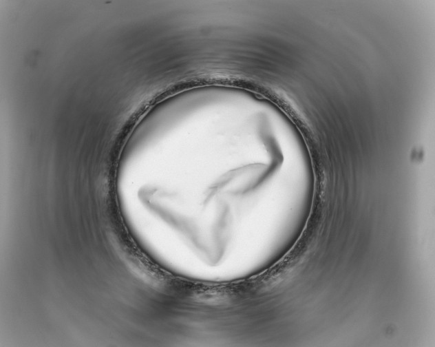 X0000091100447200709041327