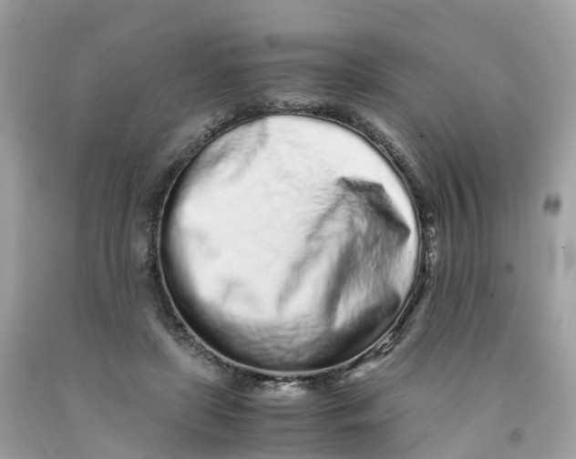 X0000091100451200709041327