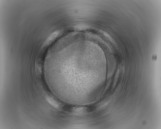 X0000091100452200709041327