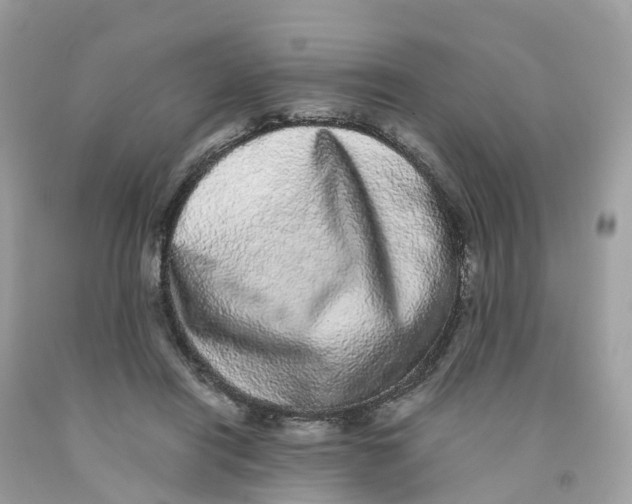 X0000091100454200709041327