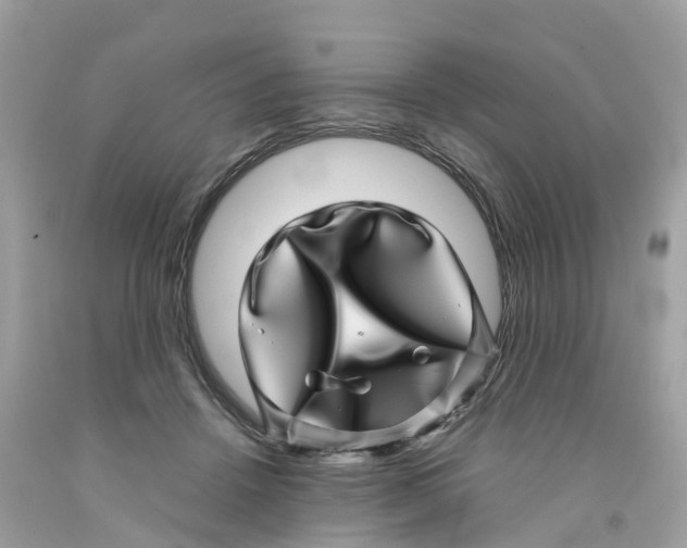 X0000091100456200709041327