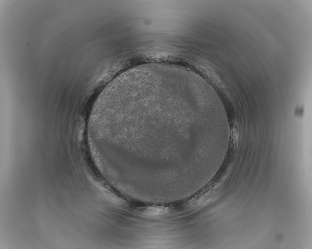 X0000091100458200709041327