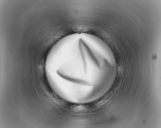 X0000091100460200709041327