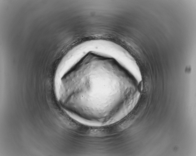 X0000091100461200709041327