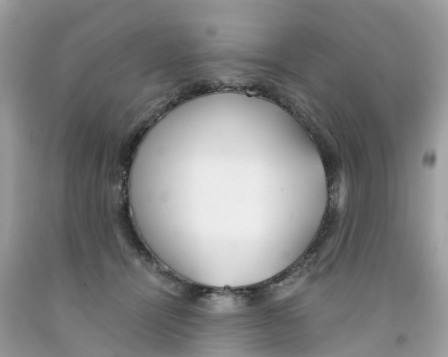 X0000091100464200709041327