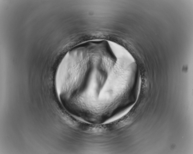 X0000091100466200709041327