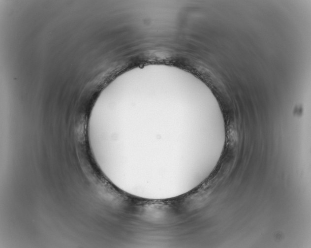 X0000091100468200709041327