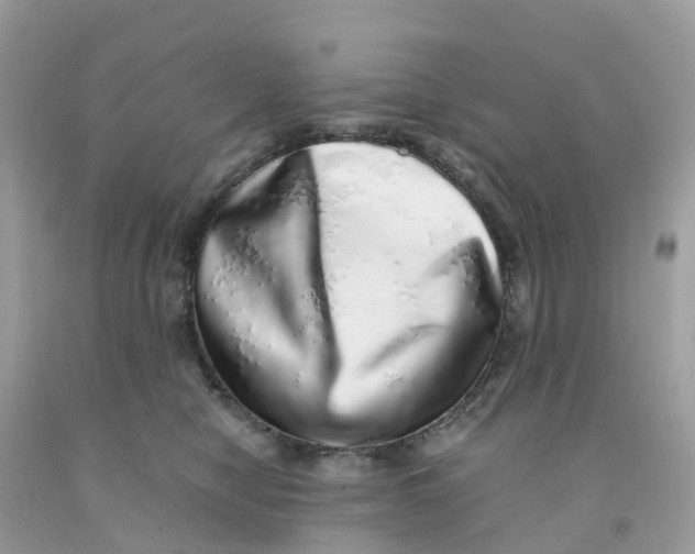 X0000091100470200709041327