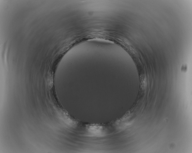 X0000091100471200709041327