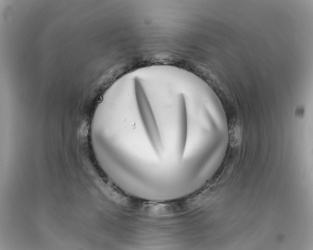 X0000091100472200709041327