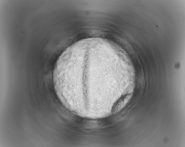 X0000091100473200709041327