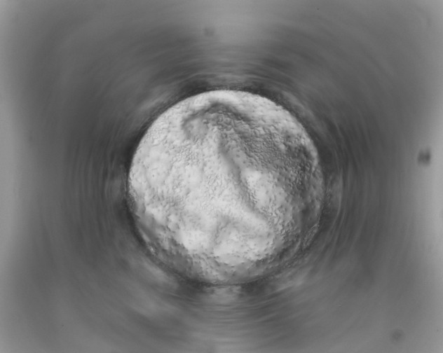 X0000091100474200709041327