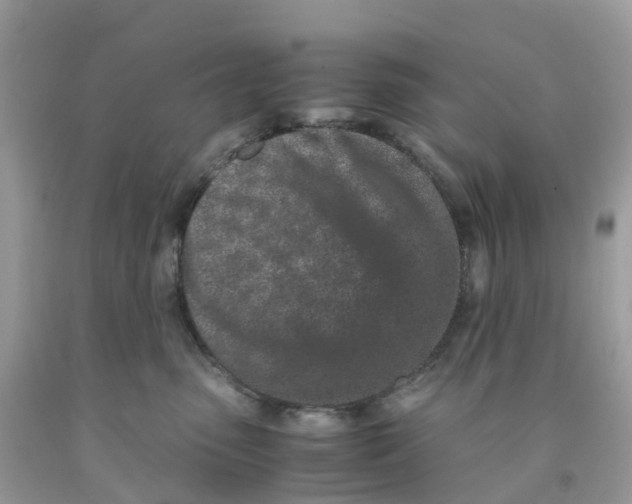 X0000091100475200709041327