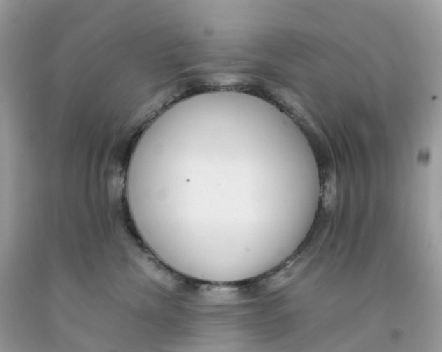 X0000091100476200709041327