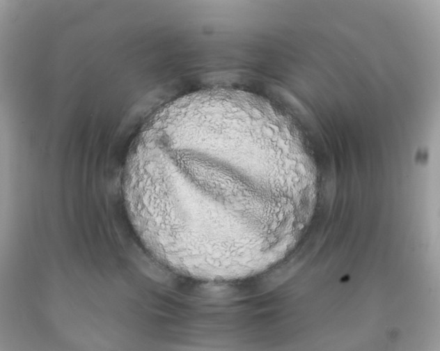 X0000091100477200709041327